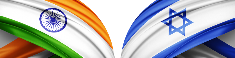 800 x 200